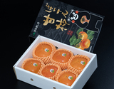JAかみましき『大玉 ばってん甘柿（刀祢早生または平核無柿）』熊本県産 特選 4〜5L 約2kg（6玉）化粧箱 風袋込 ※常温