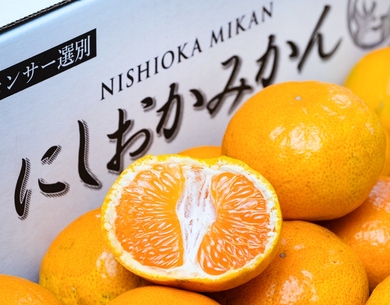 糖度13度以上『甘柑みかん（品種：にしおか）』福岡または熊本県