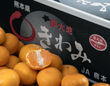 JAかもと『高糖度きわみみかん（品種：豊福早生）』熊本県鹿本産 優〜秀 S〜M 約5kg 産地箱 風袋込 ※常温