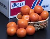 糖度11.5度以上『金時紅みかん（品種：小原紅早生）』香川県産 秀品 S〜L 約5kg 産地箱 風袋込 ※常温