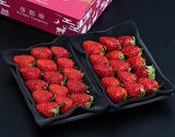 小粒『古都華』奈良県産いちご 約250g×2パック 産地箱 ※冷蔵