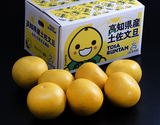 戸波選果場 特大『土佐文旦』高知県産 柑橘 5L相当 約5kg 簡易箱 ※常温