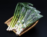 『葉にんにく』千葉県産 M〜2L 約1kg（200g×5束）産地箱 ※冷蔵