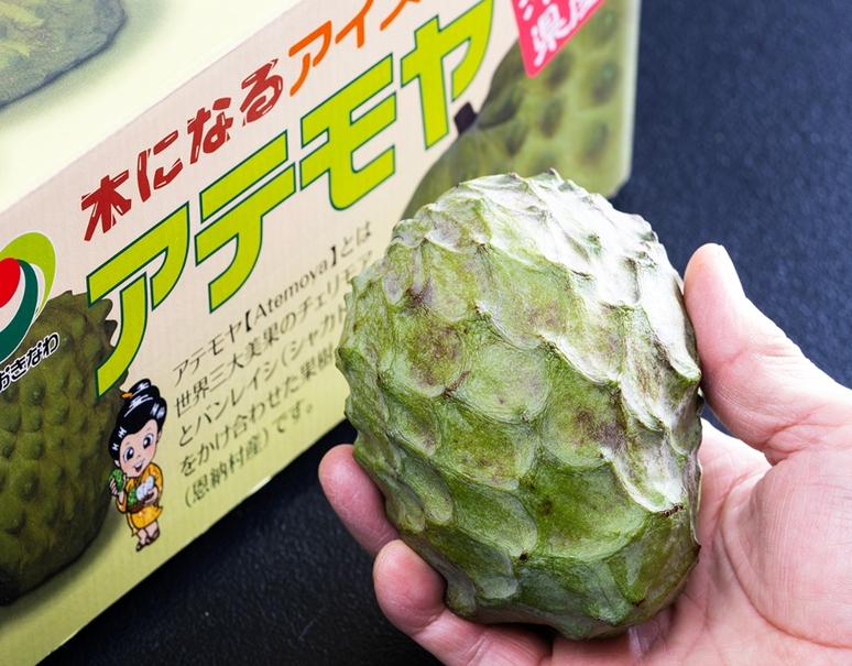 【レビューで送料無料】 アテモヤ』沖縄県産 ※常温 風袋込 約2kg（4〜7玉）産地箱 L〜3L 果物