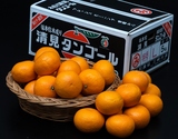 三崎共選『特秀 清見』愛媛県産 L〜2L 約5kg 産地箱 風袋込 ※常温 JAにしうわ【愛媛フェア】