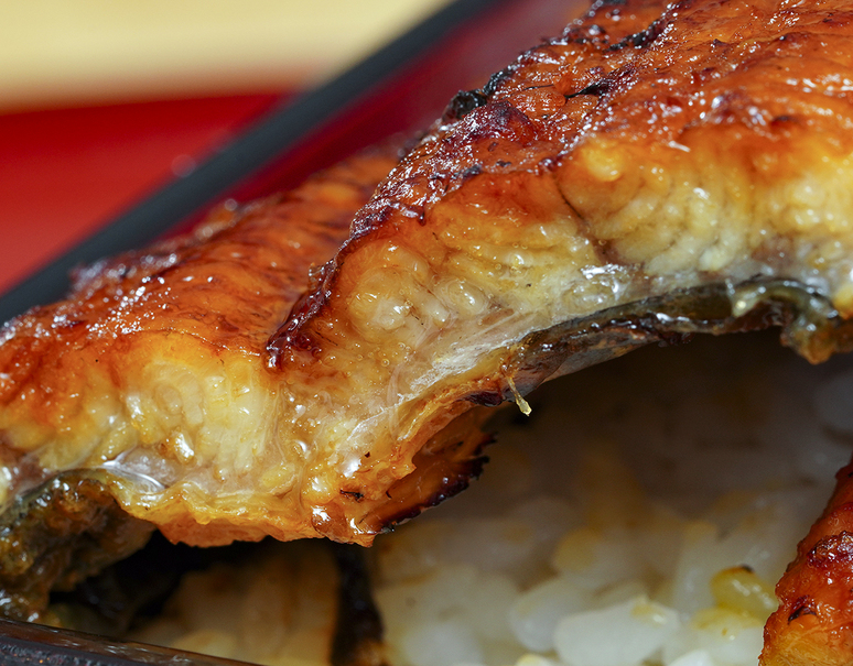 ギフト用】極大サイズ『大新のうなぎ蒲焼』1尾 約280g 鹿児島県 ギフト用】極大サイズ『大新のうなぎ蒲焼』1尾 約280g 鹿児島県