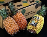 『大玉 完熟ハイランド台湾パイン（台農17号）』台湾産 約10kg(6玉) 産地箱 風袋込 ※冷蔵