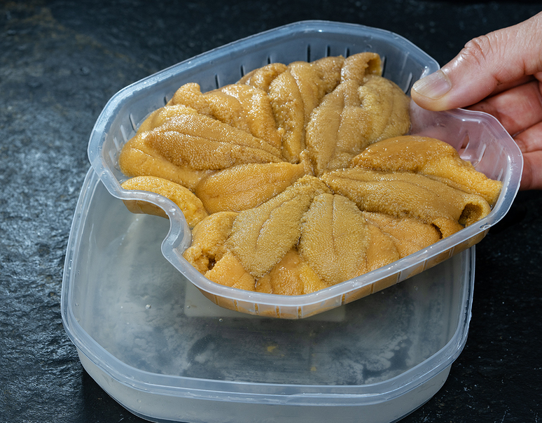 大好き 北海道小樽産 業務用 A品 100g塩水パック 生キタムラサキウニ ウニ