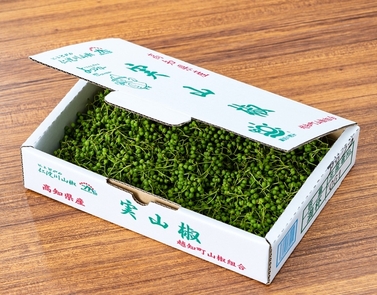 実山椒』高知県または和歌山県産 1箱 約500g 産地箱 風袋込