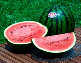 『大栄西瓜』鳥取県産 秀 Lサイズ 1玉 約6kg 簡易箱【GI産品】※冷蔵