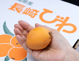 大粒びわ 『甘香・なつたより（いずれか1品種）』 3〜5Lサイズ 約1kg （12〜16玉） 長崎県産 ※冷蔵