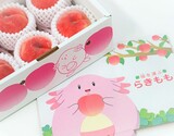 『らきもも』 福島県産 桃 特秀品 約1.6kg（5〜8玉）※常温 JAふくしま未来