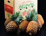 大玉『ゴールドバレル』沖縄県産パインアップル 3〜5L 計約8kg（4〜6玉）産地箱 風袋込 ※冷蔵