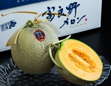『富良野メロン（赤肉） 』北海道産 優〜秀 約8kg（4〜6玉）産地箱 風袋込 ※常温