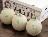 糖度13度以上 JA茨城旭村 『超大玉アールスメロン』3〜4L マル秀〜秀品 3玉（1玉 2〜2.5kg）産地箱 風袋込 ※常温