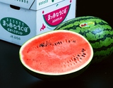 JAふらの『まっ赤なえくぼ』北海道産スイカ 秀 2〜4L 1玉 約7〜9kg 産地箱 ※冷蔵