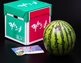JAふらの 糖度12度以上『マドンナすいか』北海道産 秀 2〜4L 1玉 約7〜9kg 産地箱 ※冷蔵
