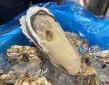 『殻付き真牡蠣』北海道仙鳳趾産 5個（目安として100g／個）※冷蔵 三清