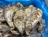 『殻付き真牡蠣』北海道仙鳳趾産 10個（目安として100g／個）※冷蔵 三清