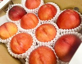 『大玉ネクタリン（品種：黎王）』山梨県産 秀 約3kg（9〜10玉）産地箱 風袋込 ※冷蔵