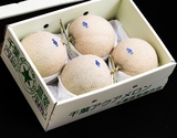 特大『マスクメロン（アクアメロン）』千葉県産 計約8〜9kg（4〜5玉）産地箱 風袋込 ※常温