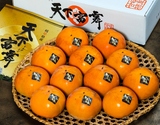 糖度20度以上 『天下富舞（品種：ねおスイート）』 岐阜県産 柿 武士クラス 2〜5L 約3.5kg（8〜12玉）産地箱 風袋込 ※常温
