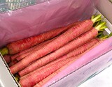 『金時人参』岡山県産 2L 1本 約300g ※冷蔵 政義