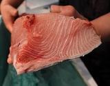 原魚で9kg台 『ひみ寒ぶり（1/8カット・皮付き）』 富山県氷見産 約500g ※冷蔵 岡崎