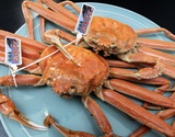 茹で松葉ガニ 浜坂産 タグ付き 2杯 訳アリ脚折れ　計900g前後（ボイル後は1割ほど目減りします） ※冷蔵　【3月出荷】