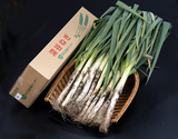 原種にこだわって栽培した『深谷ねぎ（品種：農研）』埼玉県深谷産 約3kg（目安：10〜15本）産地箱 ※常温