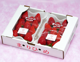 『まりひめ』和歌山県産 いちご 2パック（1パック 約250g）産地箱 風袋込 ※冷蔵