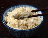 【令和6年度産・玄米】有機栽培「原種コシヒカリ（従来型コシヒカリ）」 新潟県三条市下田遅場地区 玄米5kg ※常温