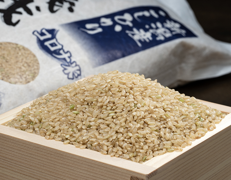 令和6年度産 新潟産コシヒカリ | 精米/玄米10kg