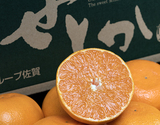訳あり『せとか』佐賀県産柑橘 約2.5kg スレ傷あり・サイズ不揃い 簡易箱 ※常温【朝日マリオン】