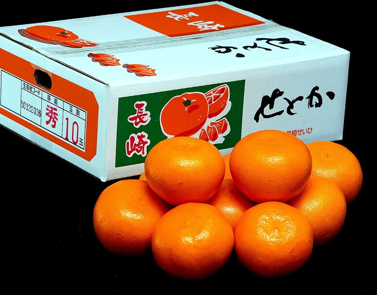 せとか』長崎県産 柑橘 L〜2L 約3kg(12〜15玉)産地箱 風袋込 せとか』長崎県産 柑橘 L〜2L 約3kg(12〜15玉)産地箱 風袋込