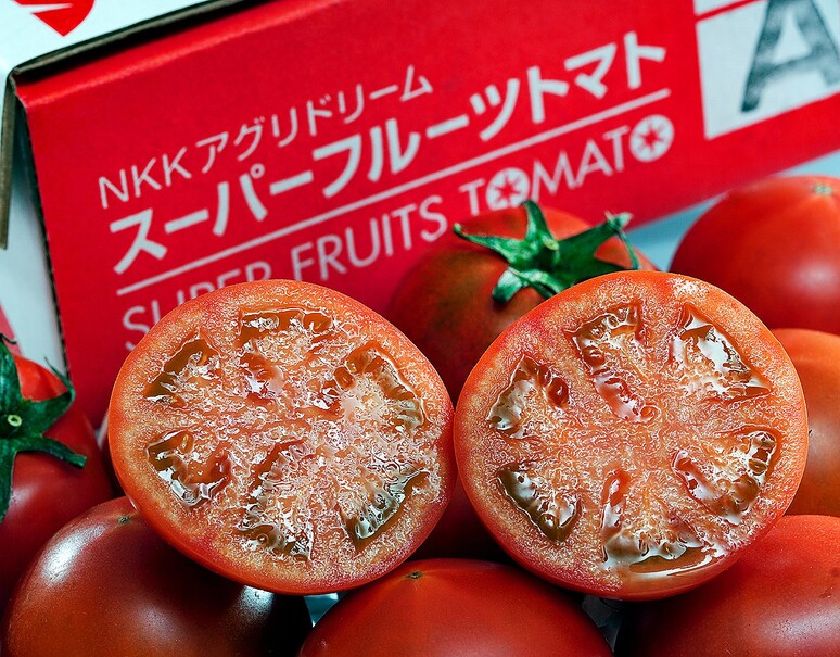 楽天市場】規格外（トマト｜野菜・きのこ）：食品の通販