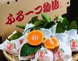 『越年完熟 袋掛けみかん（ふる〜つ物語）』香川県産 特大 約1.5kg×2箱 簡易箱 ※常温