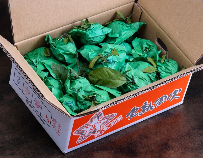 越冬袋掛け 葉つき完熟スターみかん（品種：宮川早生）』和歌山