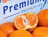 冷風貯蔵『寿太郎プレミアムゴールドみかん』静岡県産 秀 2S〜L 約2.5kg 簡易箱 ※常温