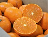 『ご自宅用せとか』愛媛県 中島産 バラ詰め（キズ・スレあり） 約4.5kg サイズ混合 簡易箱 ※常温 【朝日マリオン】
