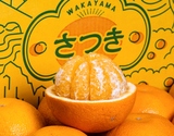 『さつき八朔』和歌山県産 柑橘 秀 L〜4L 約4.5kg 簡易箱 ※常温