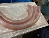 『ヤガラ（筒切り）』 長崎県産 約300g（原魚で4kg） ※冷蔵 泉久