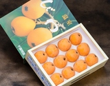 『房州びわ』 千葉県産 秀 L〜3L 約1kg（12〜15粒） 化粧箱 ※冷蔵