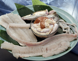 活〆・手切り 『黄金のハモ（骨切り済）』 熊本県天草産 1尾分（原魚で0.8〜1kg） 頭・骨・肝・鱧笛付き ※冷蔵 ふぐの串田
