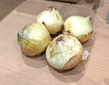 『新たまねぎ』千葉県白子町産 約1kg（4〜5玉程度）※冷蔵 政義