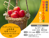 YAMAGATA Summer Fruit Lovers 2025『山形 夏フルーツイベント参加券』