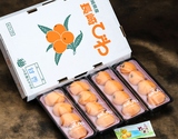 超大粒『甘香びわ』長崎県産 3〜5L 約250g×4パック（計12〜16粒）産地箱 ※冷蔵