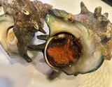 極上『サザエ（特大）』 静岡県下田産 1個 400g前後 ※冷蔵 三清