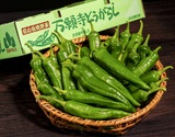 『万願寺とうがらし』 京都府産 約1kg ※冷蔵 政義