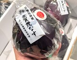 『京賀茂茄子』 京都府産 2L 1玉 ※冷蔵 政義